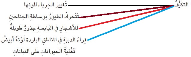 أصل بين المفردة وما يماثلها من عبارات